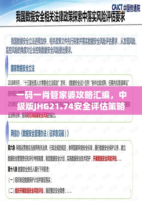 一碼一肖管家婆攻略匯編，中級版JHG21.74安全評估策略