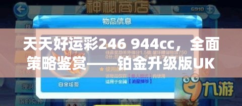 天天好運彩246 944cc，全面策略鑒賞——鉑金升級版UKR594.09