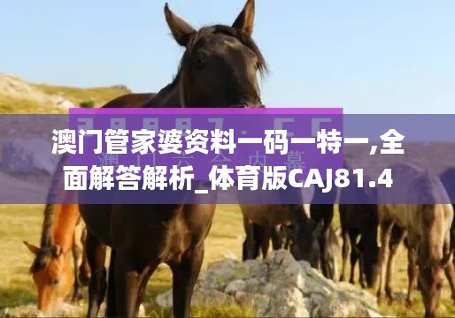 澳門(mén)管家婆資料一碼一特一,全面解答解析_體育版CAJ81.4