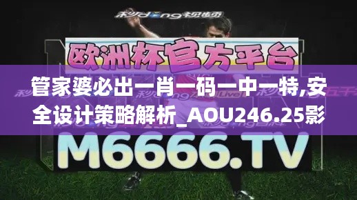 管家婆必出一肖一碼一中一特,安全設計策略解析_AOU246.25影像版