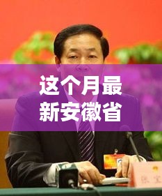 安徽省委常委新月日常，友情的溫馨篇章啟動