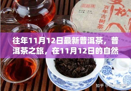 普洱茶之旅，在11月12日的自然懷抱中品味靜心之茶，探尋最新普洱茶的魅力