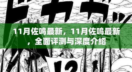 11月佐鳴最新，全面評(píng)測與深度介紹