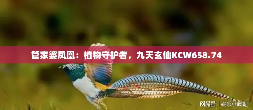 管家婆鳳凰：植物守護(hù)者，九天玄仙KCW658.74