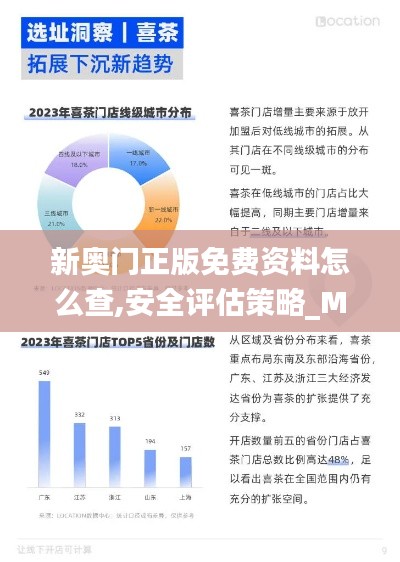 新奧門正版免費(fèi)資料怎么查,安全評估策略_MUS375.28仙神境