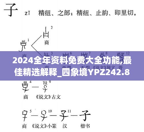 2024全年資料免費(fèi)大全功能,最佳精選解釋_四象境YPZ242.88