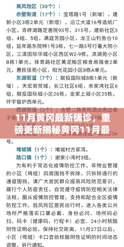 揭秘黃岡11月最新確診情況，深度解析防疫現(xiàn)狀，重要信息一覽無(wú)余