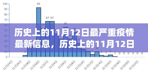 歷史上的11月12日最嚴重疫情揭秘，最新信息與發(fā)展全貌洞察（小紅書文章）