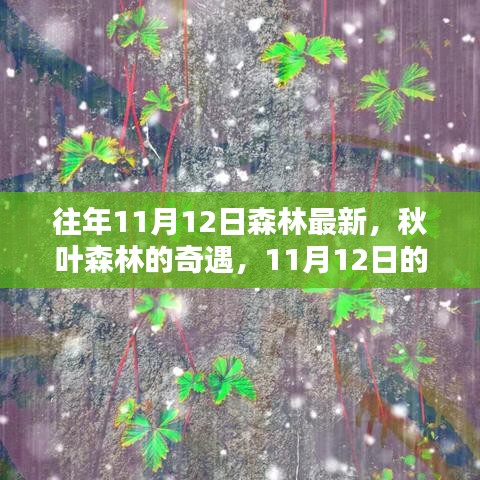 秋日森林奇遇，溫馨記憶中的最新秋葉森林