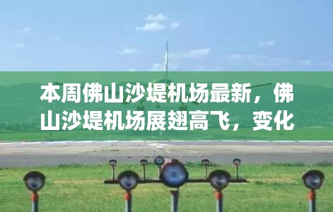 佛山沙堤機場最新動態(tài)，展翅高飛，變化中的學習鑄就自信與成就展