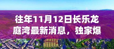 獨家揭秘，往年11月12日長樂龍庭灣最新動態(tài)與細節(jié)曝光！