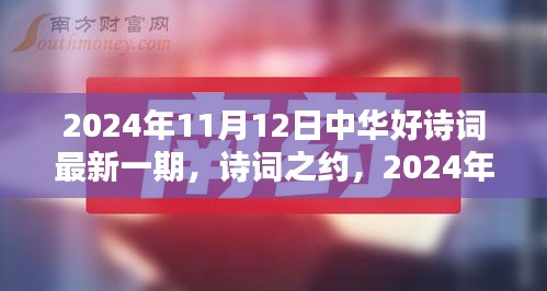 中華好詩詞最新一期，詩意時光下的詩詞之約（2024年11月12日）