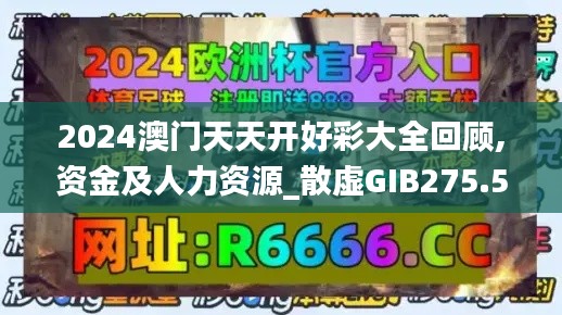 2024澳門天天開好彩大全回顧,資金及人力資源_散虛GIB275.58