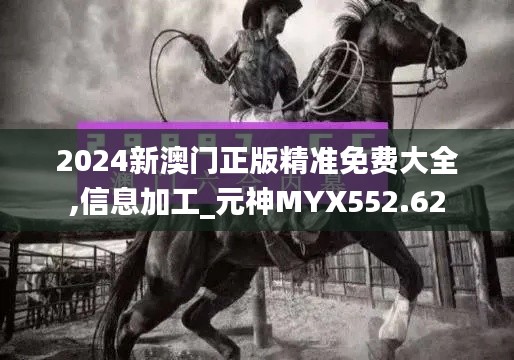 2024新澳門(mén)正版精準(zhǔn)免費(fèi)大全,信息加工_元神MYX552.62