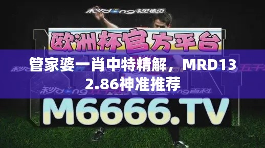 管家婆一肖中特精解，MRD132.86神準(zhǔn)推薦