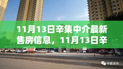 11月13日辛集中介最新售房信息全面解析與評測