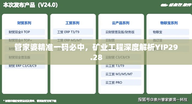 管家婆精準(zhǔn)一碼必中，礦業(yè)工程深度解析YIP29.28