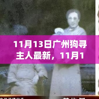 廣州狗狗尋找主人最新進展，溫暖重逢與尋寵路上的希望（11月13日更新）