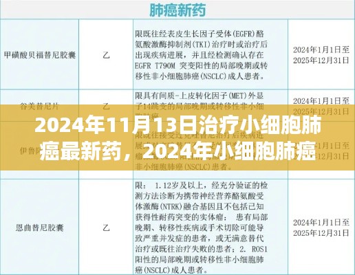 2024年小細(xì)胞肺癌治療新藥全面解析與用戶體驗(yàn)，最新藥物評測及療效展望