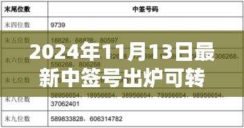 揭秘，2024年最新可轉(zhuǎn)債中簽號出爐背后的影響與時代地位分析