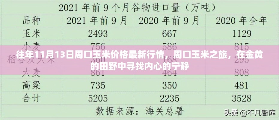 往年11月13日周口玉米價格更新，田野探索與內(nèi)心寧靜之旅