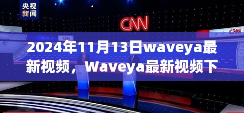 2024年11月13日Waveya最新視頻觀察，獨(dú)特視角下的思考