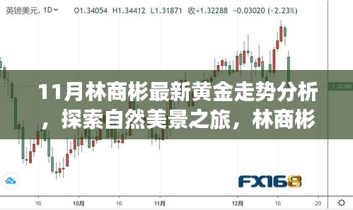 林商彬黃金走勢分析與自然美景探索，黃金與心靈的對話