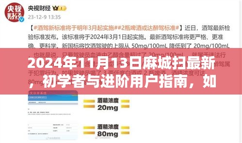 麻城掃最新技能指南，初學(xué)者與進(jìn)階用戶如何掌握