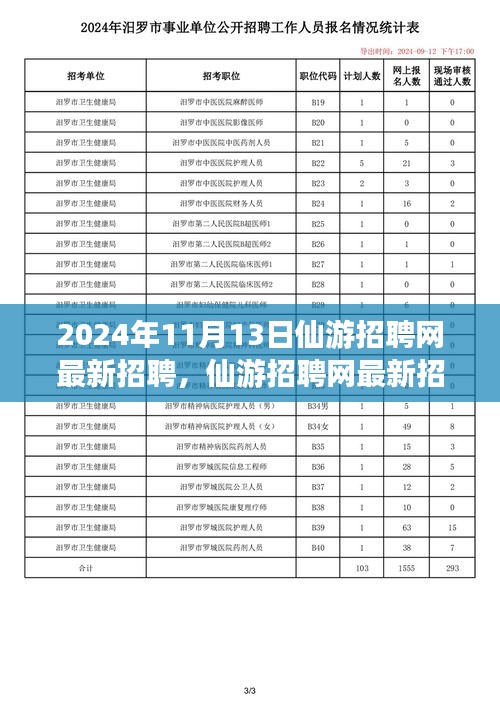 2024年11月13日仙游招聘網(wǎng)最新動(dòng)態(tài)，聚焦人才市場(chǎng)熱點(diǎn)