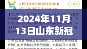 山東新冠疫情最新報(bào)告，多維視角下的深度分析（2024年11月13日）