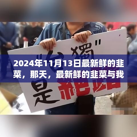 新鮮韭菜與溫馨故事，2024年11月13日的邂逅