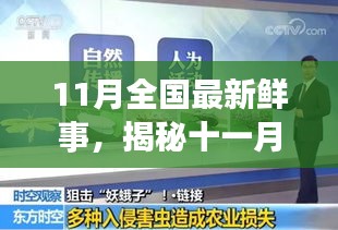 揭秘十一月全國新鮮事，熱點聚焦與科普解讀