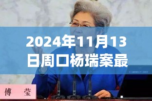 楊瑞案背后的故事，變化的力量與自信的重生最新進(jìn)展，周口楊瑞案深度剖析（2024年11月13日）