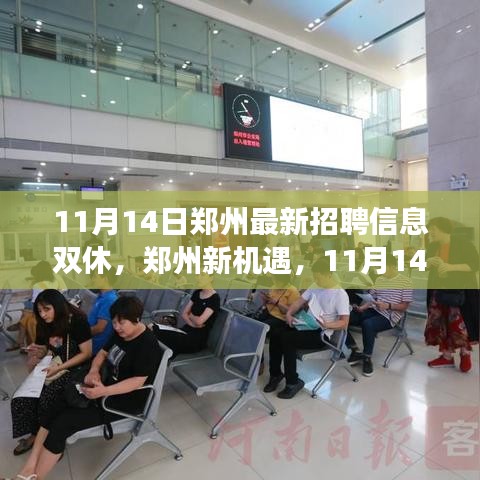 鄭州最新招聘信息揭秘，學(xué)習(xí)與成長之旅，雙休路上的自信與成就感