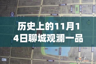 聊城觀瀾一品揭秘之旅，11月14日最新動(dòng)態(tài)探秘隱藏小巷