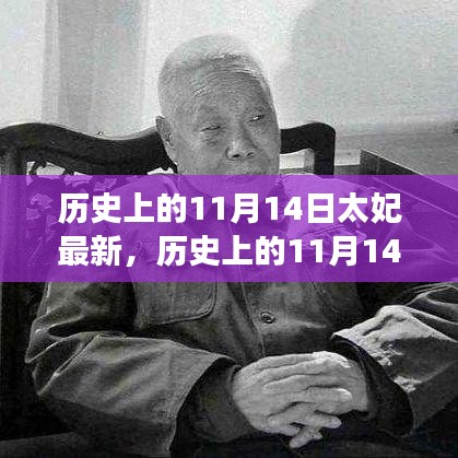 歷史上的11月14日太妃傳奇，最新解讀與影響全解析