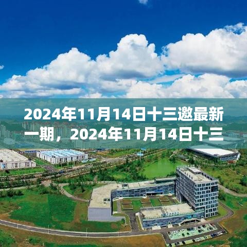 聚焦觀點之爭，深度解析2024年最新一期十三邀