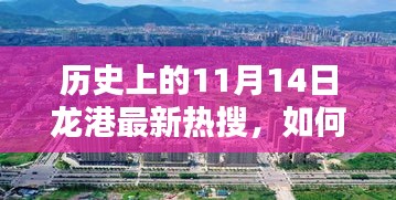 11月14日龍港熱搜揭秘，歷史挖掘與了解指南——初學(xué)者到進階用戶的必備參考