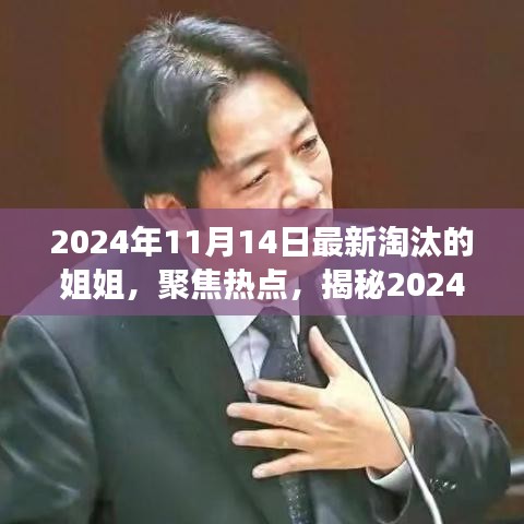 揭秘，2024年11月14日最新淘汰的姐姐背后的故事與熱點(diǎn)聚焦