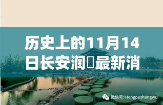 長安潤璟秘境探索，歷史與美食的碰撞時刻，最新消息揭秘秘密小店