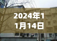 洛寧二手房最新信息探索，巷弄之韻與隱藏的小巷故事（最新信息門戶）