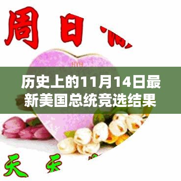 歷史上的11月14日美國(guó)總統(tǒng)競(jìng)選結(jié)果深度解析與回顧