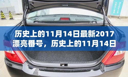 歷史上的11月14日最新2017漂亮番號，歷史上的11月14日，探尋那些閃耀的瞬間與美好記憶??