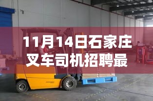 11月14日石家莊叉車司機(jī)招聘最新消息深度解析與介紹