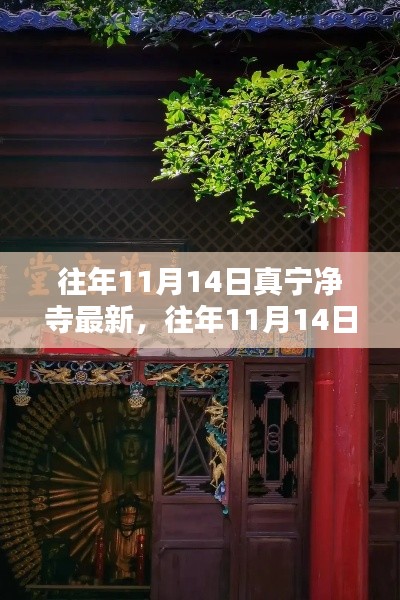 往年11月14日真寧凈寺探訪攻略，領(lǐng)略古寺魅力，最新指南全解析