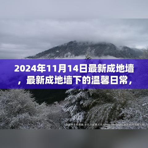 最新成地墻下的溫馨日常，友誼與愛共筑美好家園的2024年1月記事