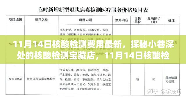 探秘核酸檢測寶藏店，揭秘最新核酸檢測費用新鮮事（11月14日更新）