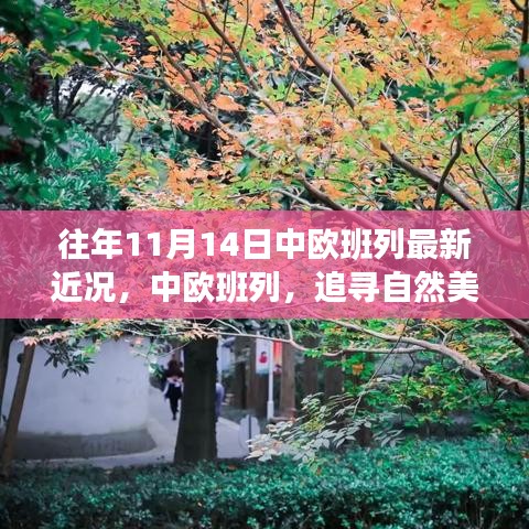 中歐班列秋日序曲，追尋自然美景與內(nèi)心寧靜之旅的最新近況