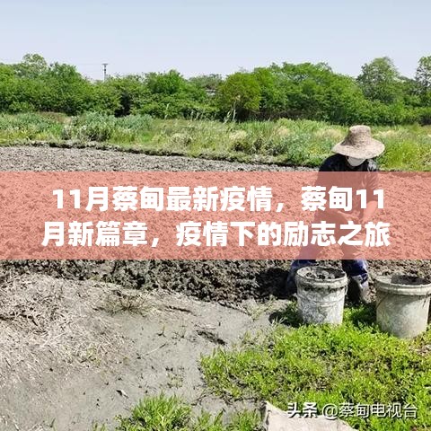 蔡甸11月疫情新篇章，勵志之旅展現自信與成就之光