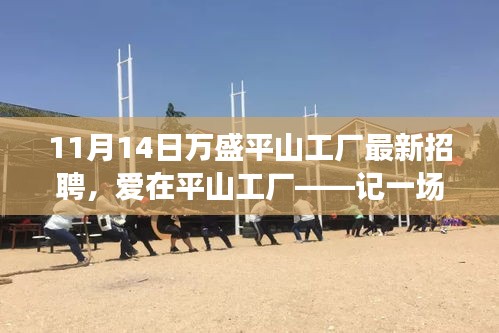 愛在平山工廠，最新招聘與求職之旅啟程